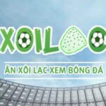Profile picture of xoilaczaftv