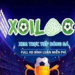 Profile picture of xoilacxltv