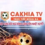 Profile picture of cakhiazdtv
