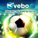 Profile picture of vebozcccc
