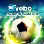 Profile picture of vebozddcc