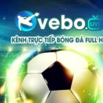 Profile picture of vebozeecc