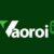 Profile picture of vaoroizaacc