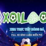 Profile picture of xoilacxxtv