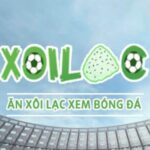 Profile picture of xoilaczamtv