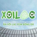 Profile picture of xoilaczaqtv