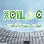 Profile picture of xoilaczastv
