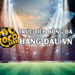 Profile picture of socolivezzjjcc