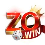 Profile picture of zowindiscount