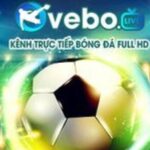 Profile picture of vebozsscc