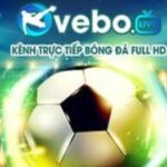 Profile picture of vebozttcc