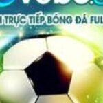 Profile picture of vebozvvcc