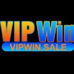 Profile picture of vipwinsale