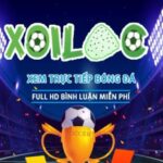 Profile picture of xoilac86admobi
