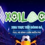 Profile picture of xoilac86afmobi