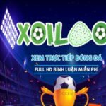 Profile picture of xoilac86ahmobi