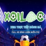 Profile picture of xoilac86ajmobi