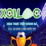 Profile picture of xoilac86avmobi