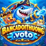 Profile picture of bancadoithuongvoto1