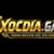Profile picture of xocdiacomde