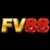 Profile picture of fv88comnet