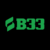 Profile picture of B 33